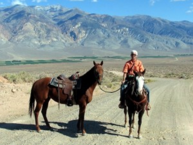 about-adopting-horses-tranquility-farm-gallery-09
