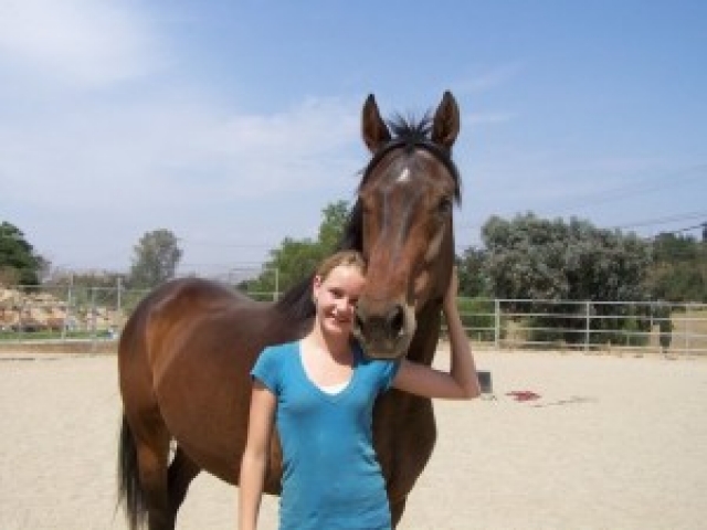 about-adopting-horses-tranquility-farm-gallery-11