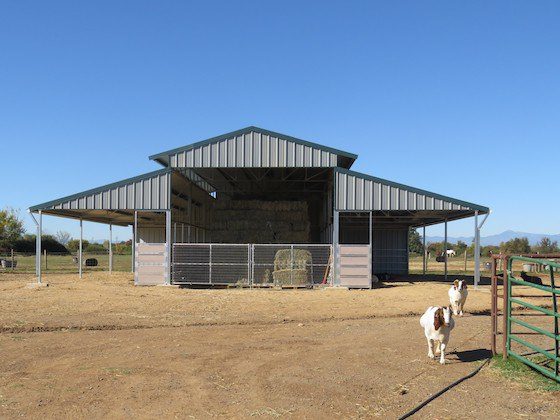 Our New Barn | Tranquility Farm